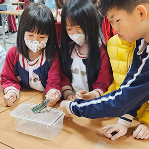 生態小學堂