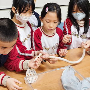 生態小學堂